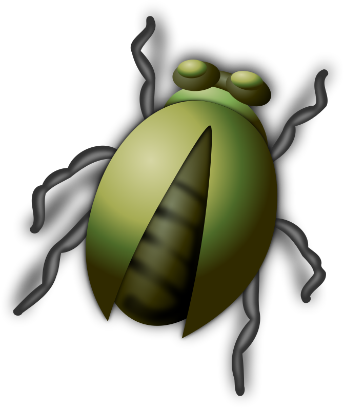 Insect