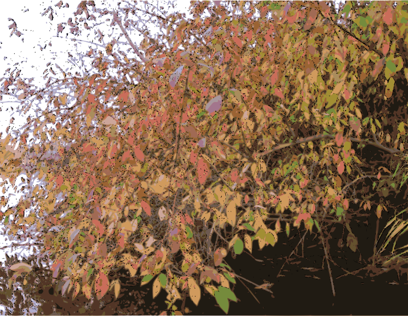 Bush in Autumn