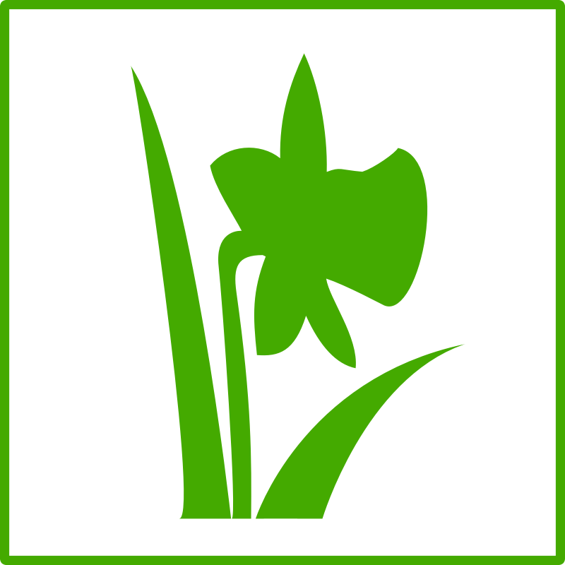 Eco green flower icon