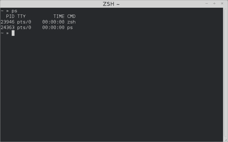 ZSH Terminal