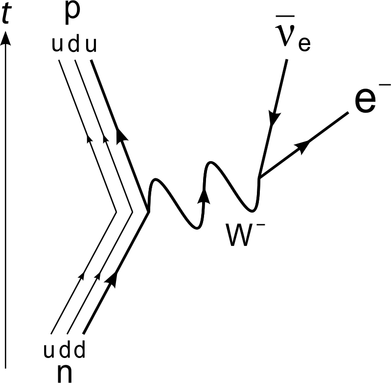 Force - Beta Negative Decay