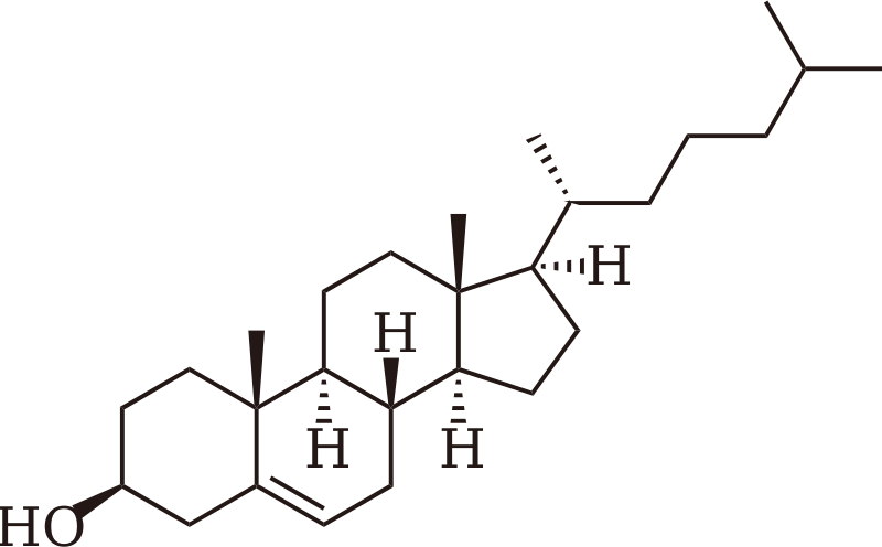 Cholesterol