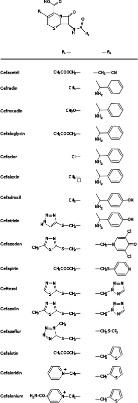 Cephalosporins