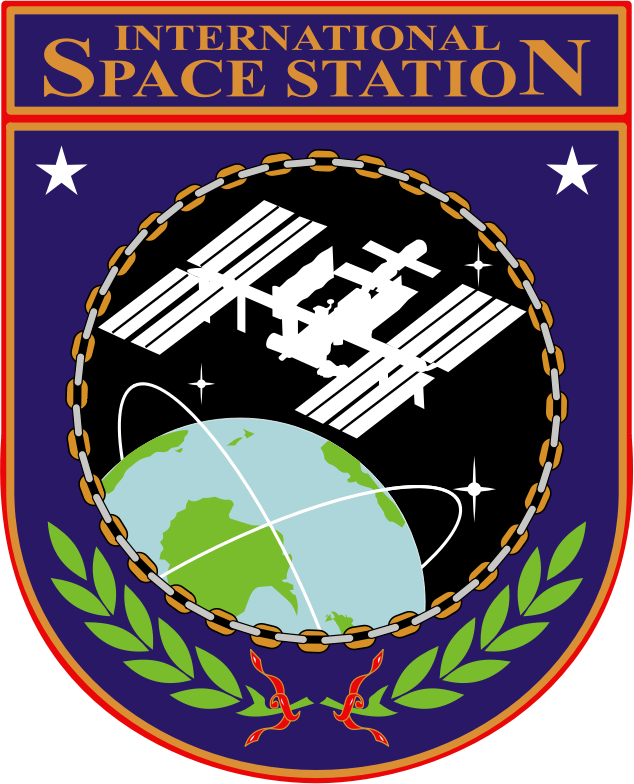 ISS Insignia