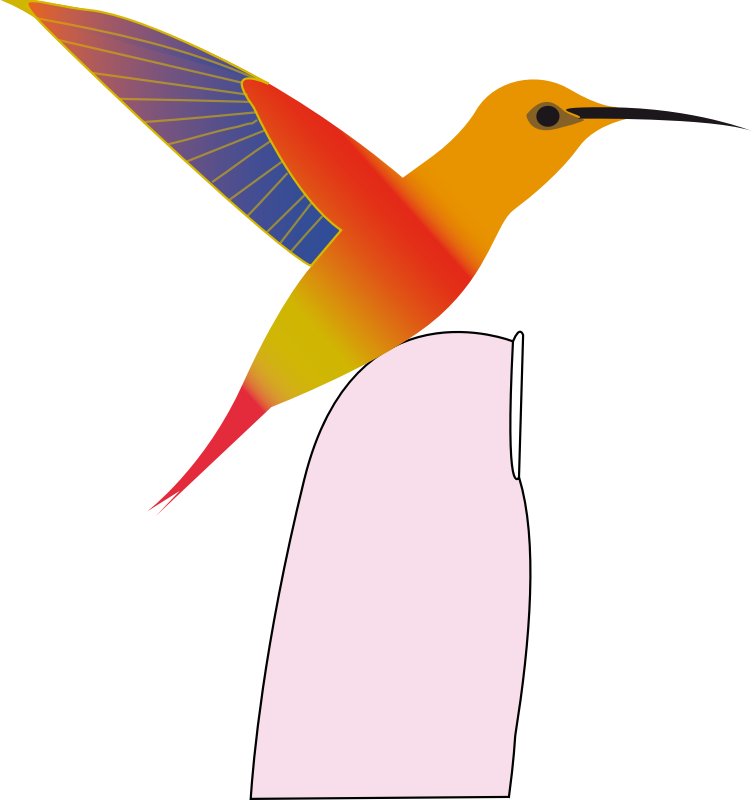 hummingbird