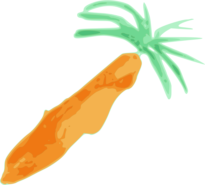 Carrot 1