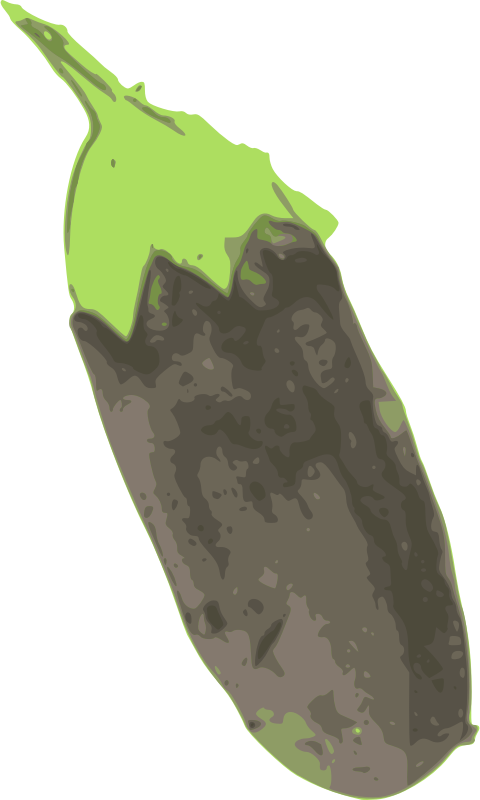 Eggplant 1