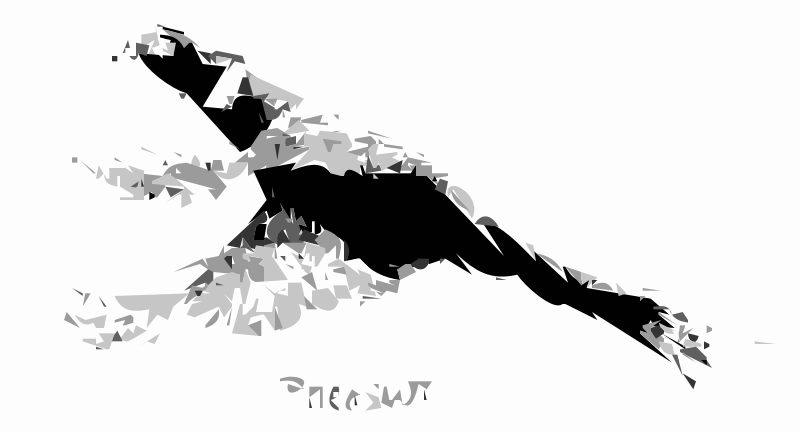 Pheasant Bird