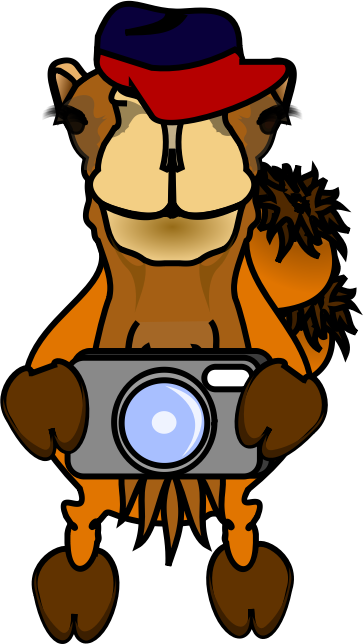 Comic Camel - Photographer