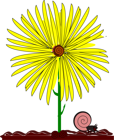 yellow flower and snail