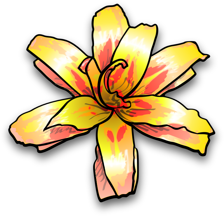 Flower 4