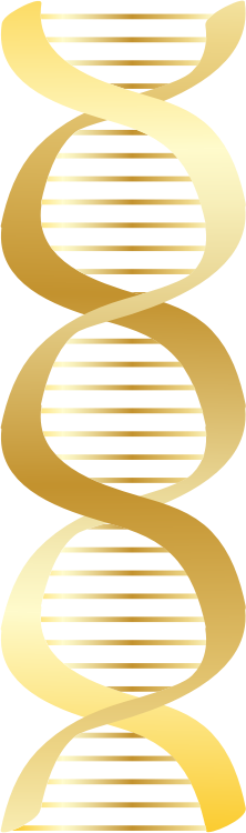 Gold DNA icon