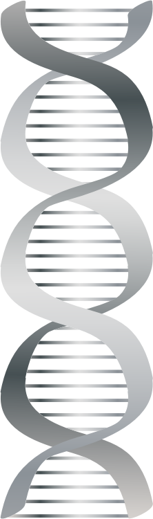 Silver DNA icon