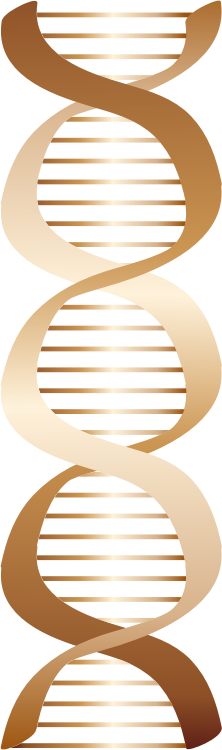 Bronze DNA icon