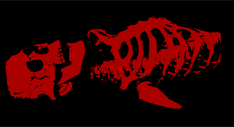 Red skeleton