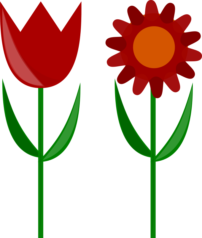 Flowers