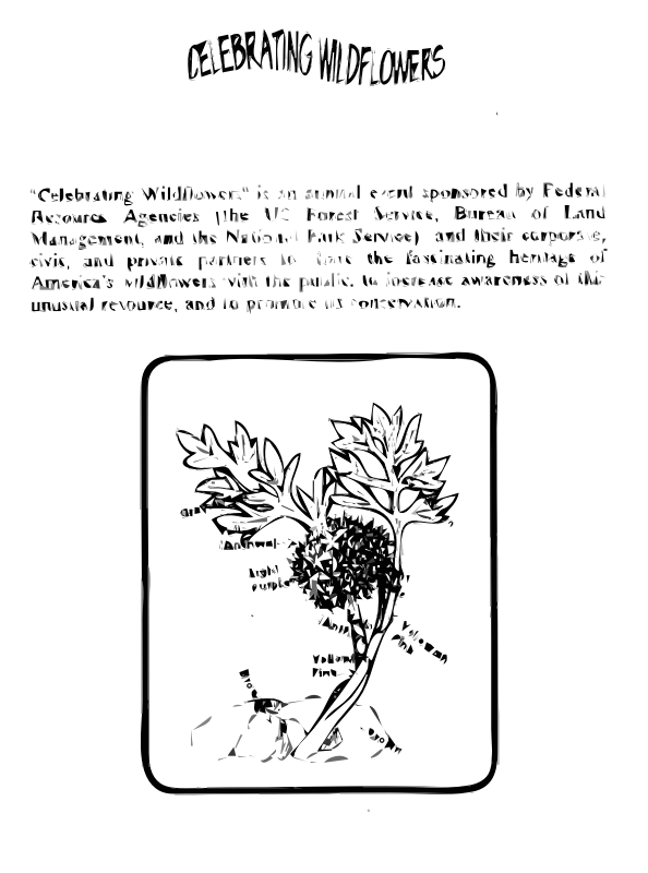 Ballhead Waterleaf Coloring Guide