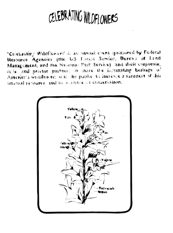 Black Henbane Coloring Guide