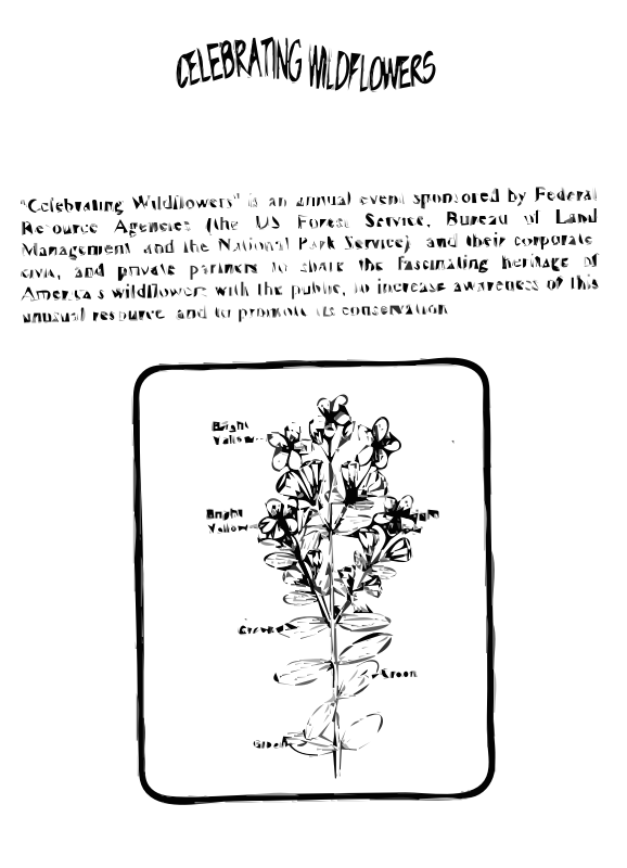 Klamath Weed Coloring Guide