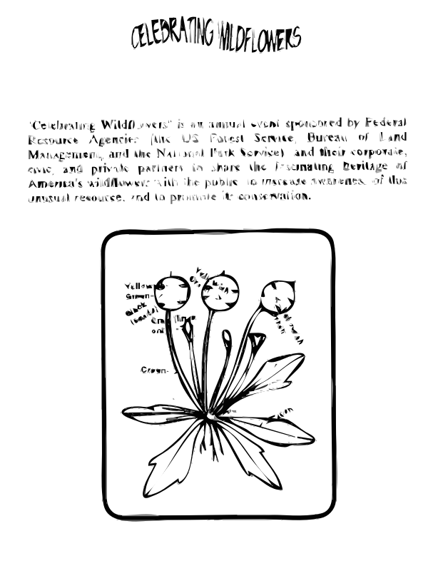 Scalepod Coloring Guide