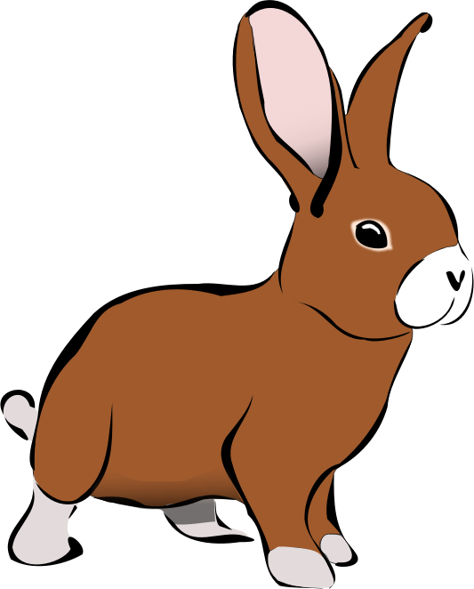 Brown Rabbit