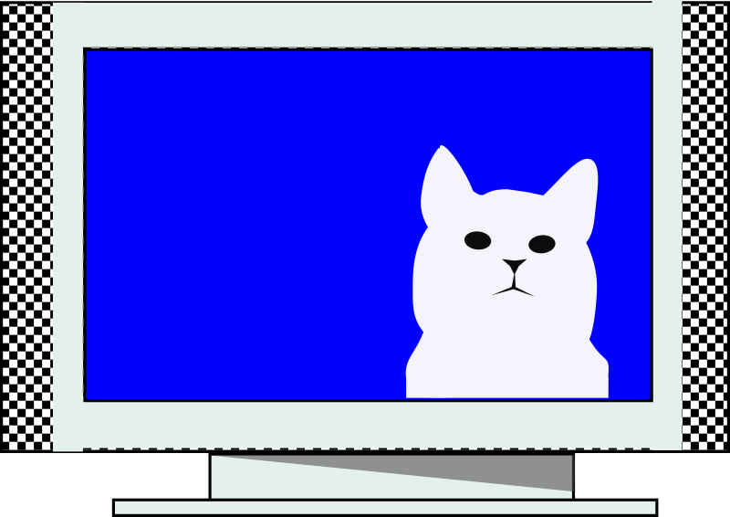 TV cat