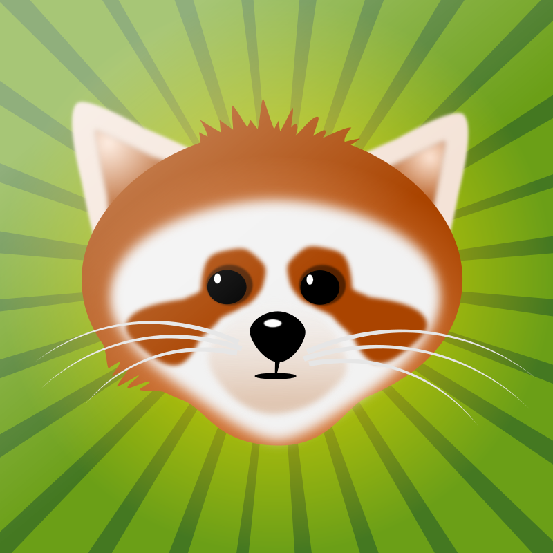 red panda 