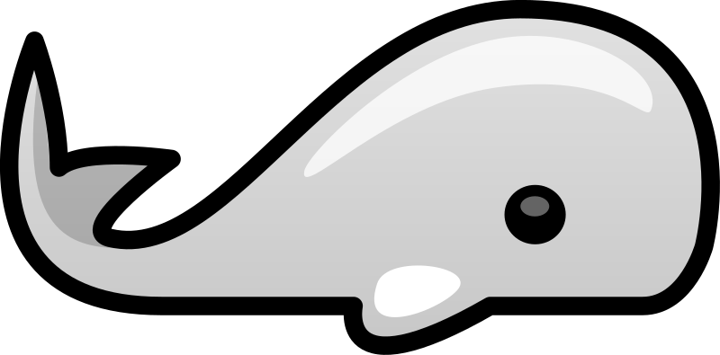 Small whale