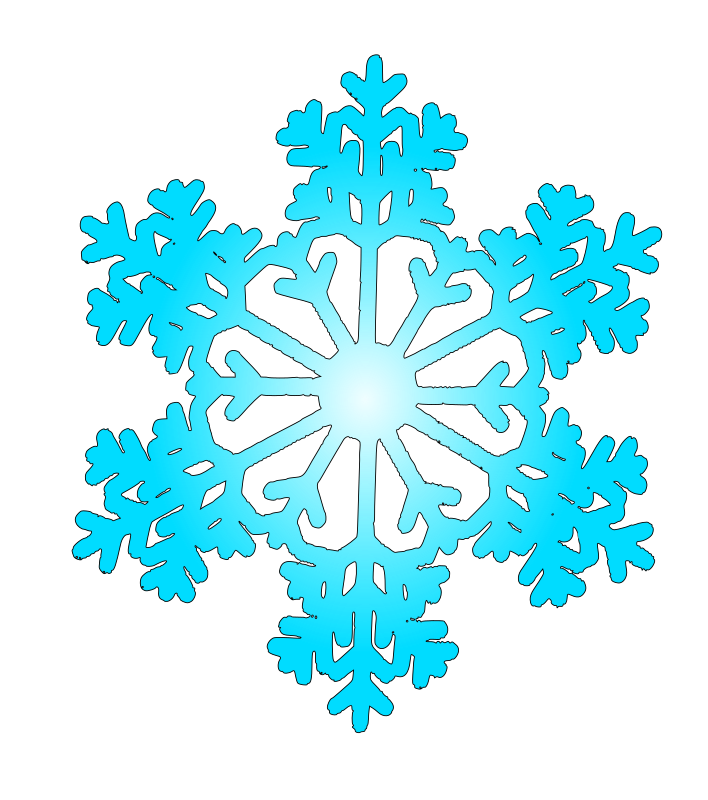 snow flake 6