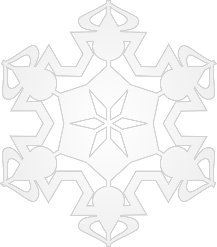 Snowflake 6