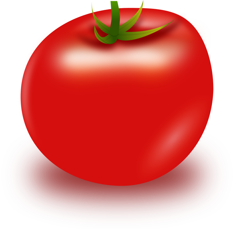 Vector Tomato