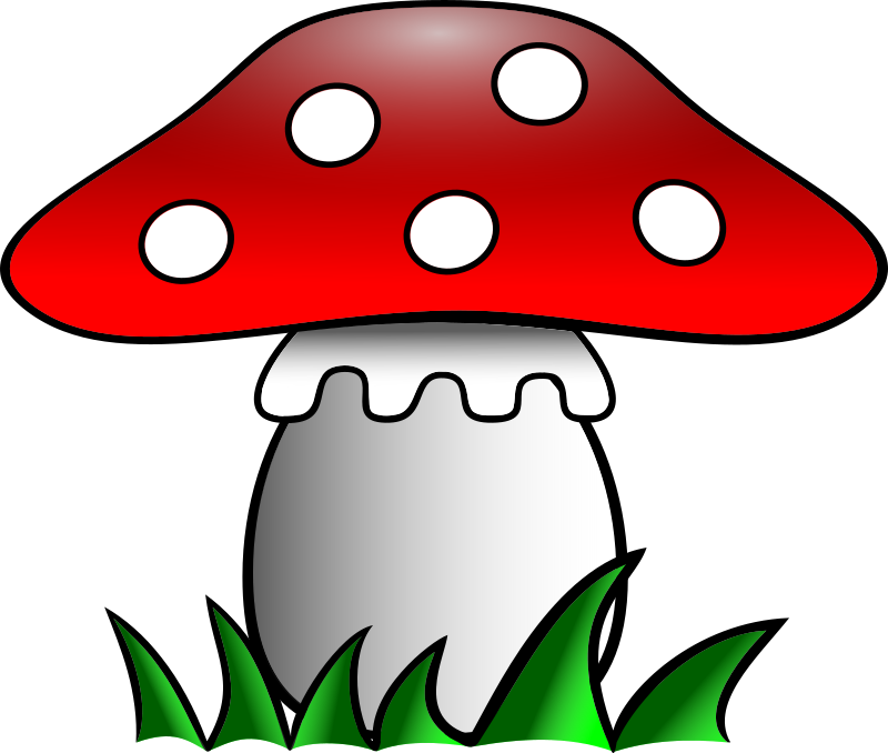 Fly-agaric