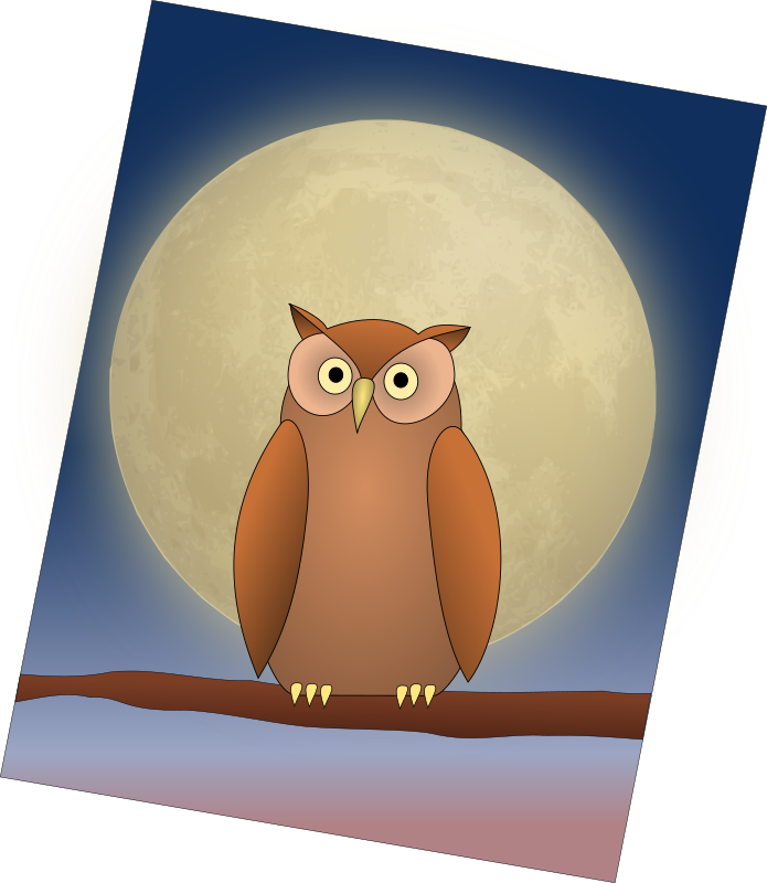 The Owl and The Moon