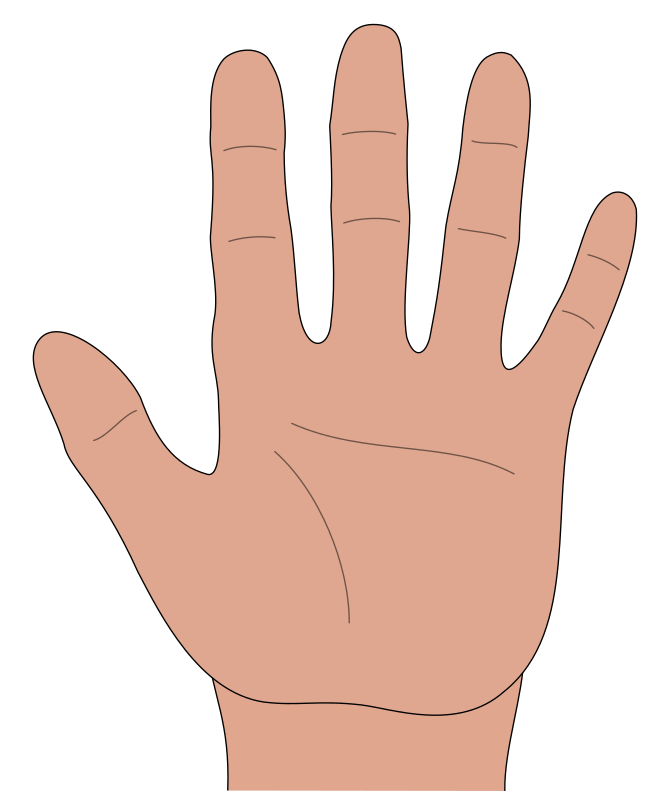 Hand Open Openclipart