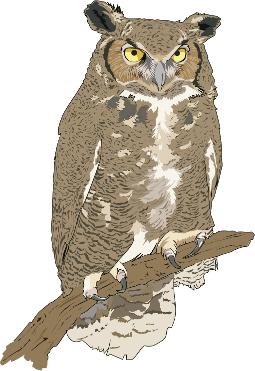 Hibou Grand-duc - Eagle Owl