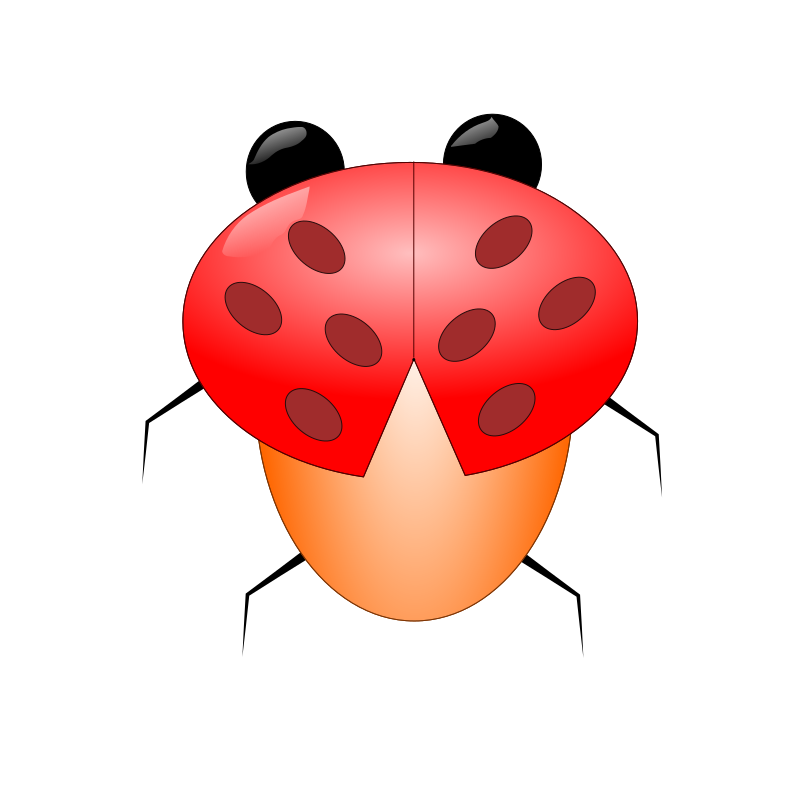 Lady Beetle