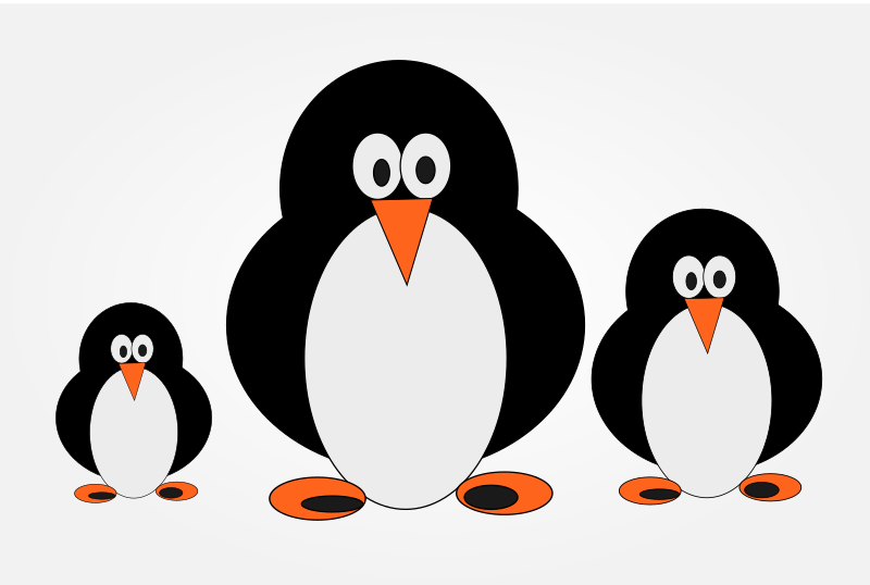 penguin family