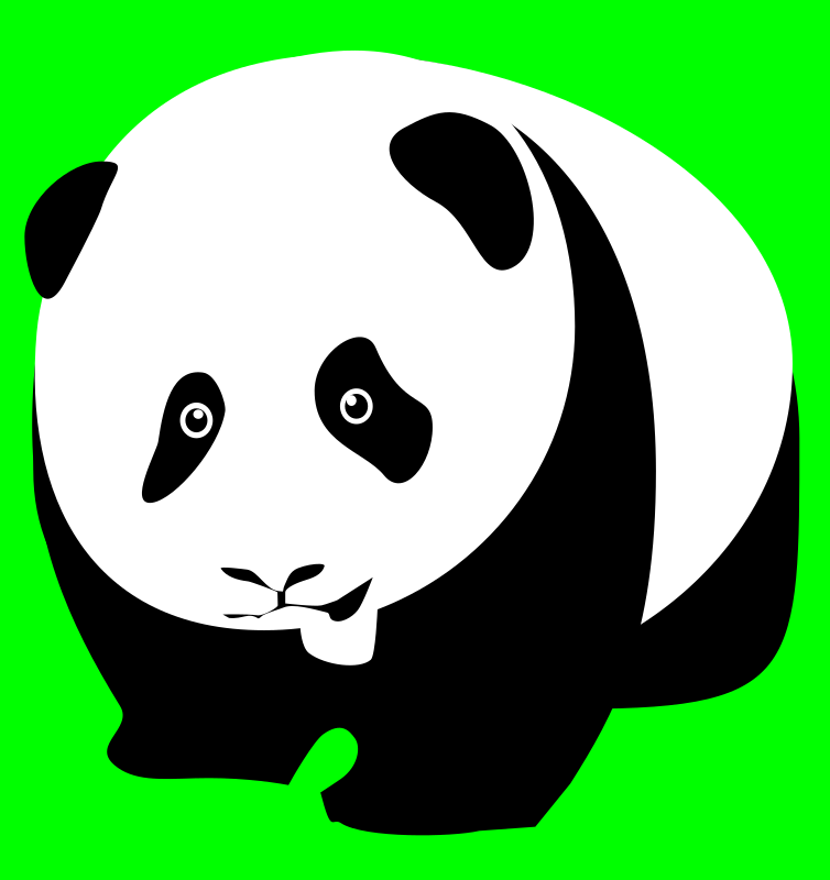 Panda bear