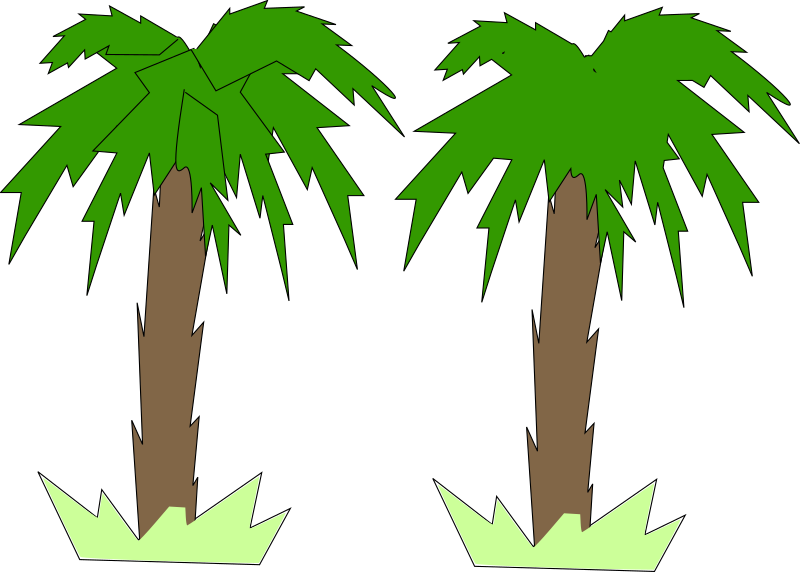 Toon Palm Tree