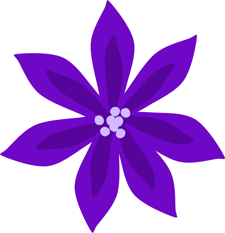 Purple Lily