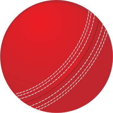 Cricket Ball