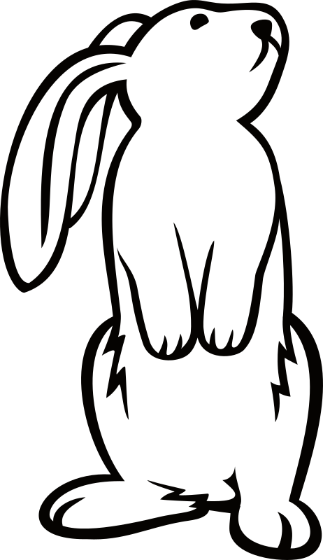 White Bunny