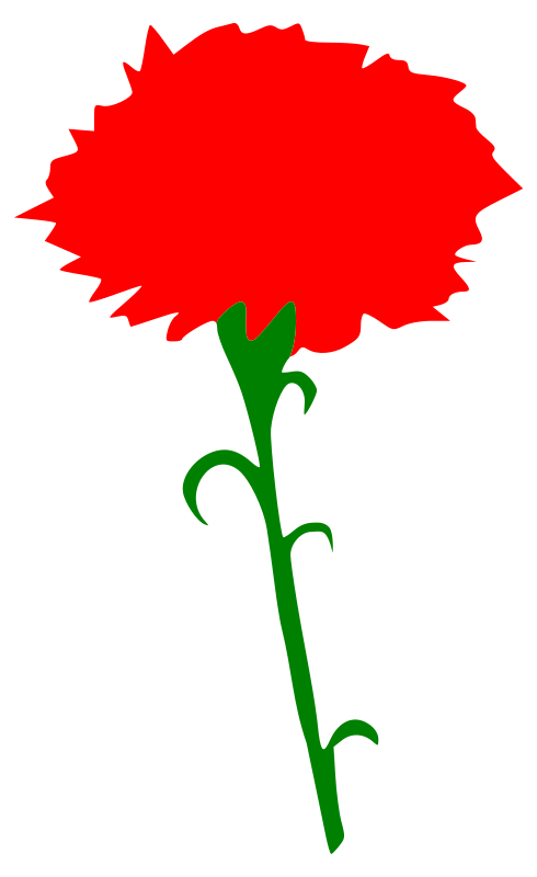 International Working Women's Day - Carnation