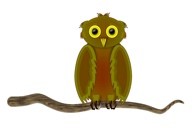 Owl on a Branch