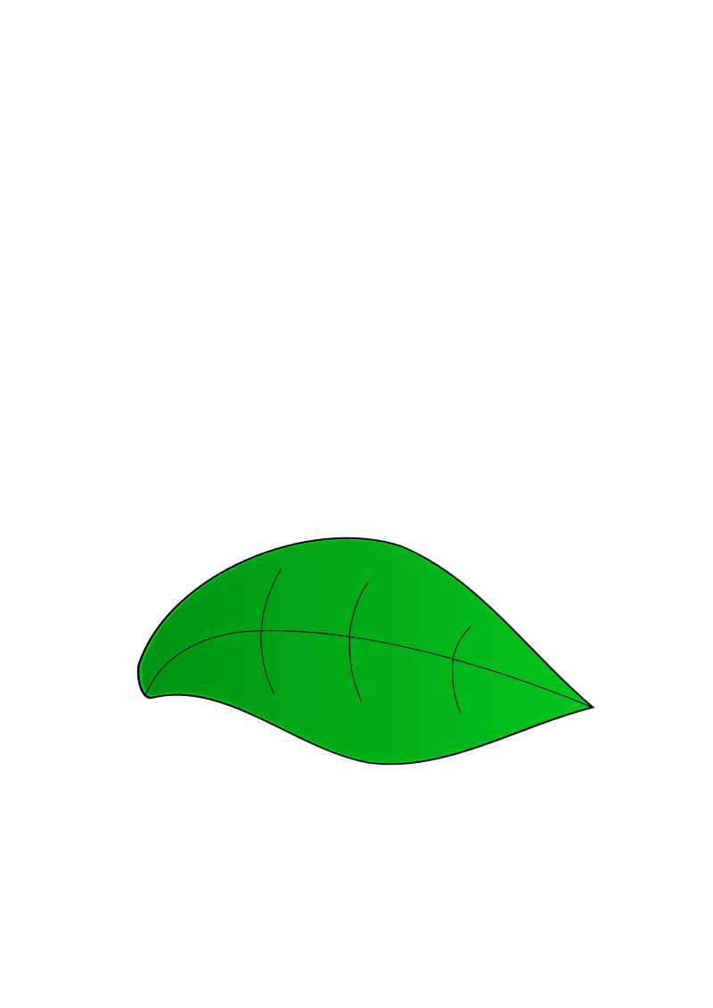 green leaf