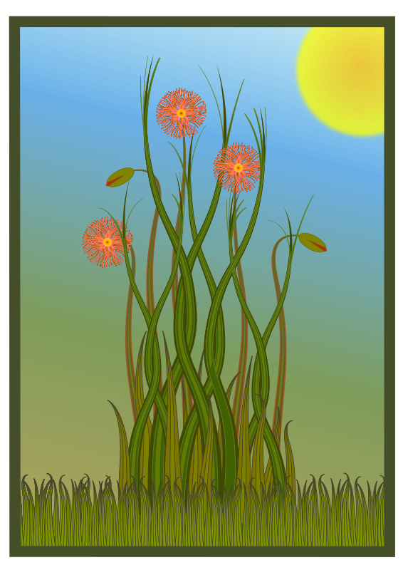 Grass and Flowers
