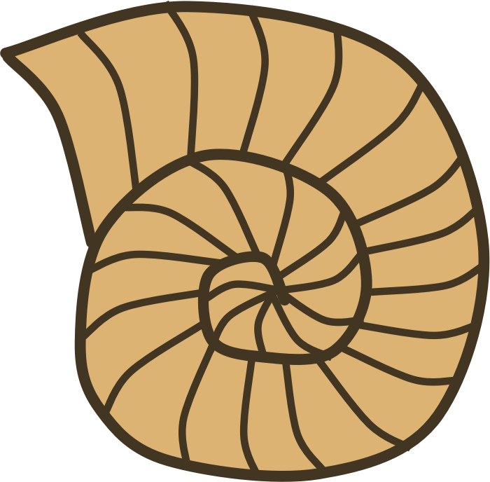 Snail Shell