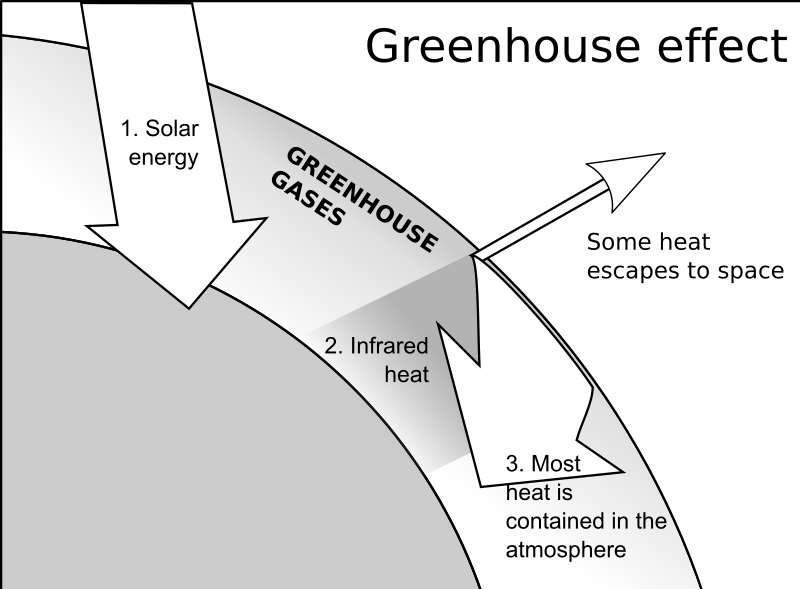 Greenhouse Effect