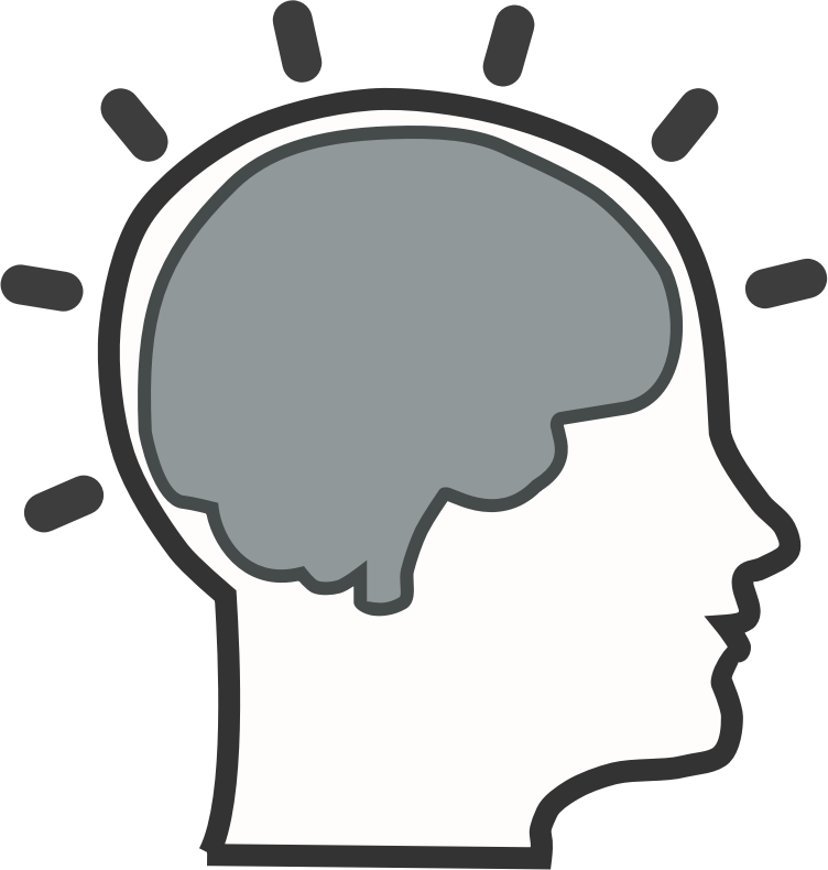 Brain activity – Métacognition