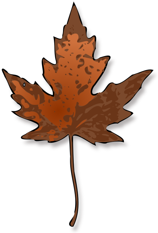 Maple Leaf